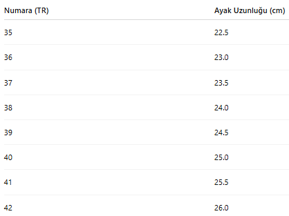 KADIN TARZ KIŞLIK BOT 285