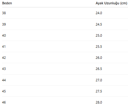 ERKEK TARZ KLASİK AYAKKABI 221