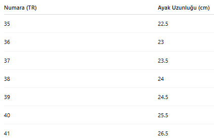 KADIN TARZ KIŞLIK BOT 251