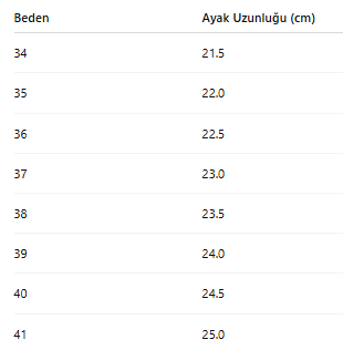 KADIN TARZ TOPUKLU AYAKKABI 106