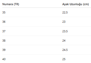 KADIN TARZ KIŞLIK BOT 255