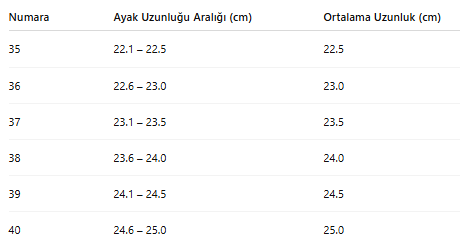 KADIN TARZ SPOR AYAKKABI 134
