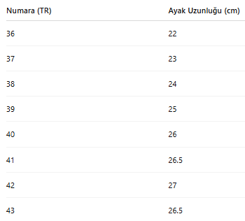 KADIN TARZ KIŞLIK BOT 256