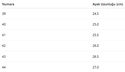 ERKEK TARZ KIŞLIK BOT 167
