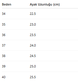 KADIN TARZ TOPUKLU AYAKKABI 219