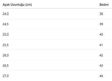 ERKEK TARZ KLASİK AYAKKABI 243