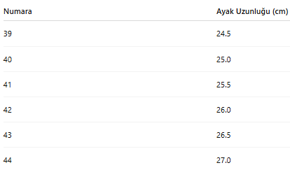 ERKEK TARZ KIŞLIK BOT 166