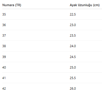 KADIN TARZ KIŞLIK BOT 261