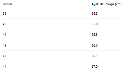 ERKEK TARZ KLASİK AYAKKABI 226