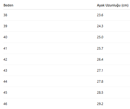 ERKEK TARZ KLASİK AYAKKABI 181