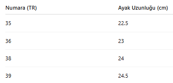 KADIN TARZ KIŞLIK BOT 259