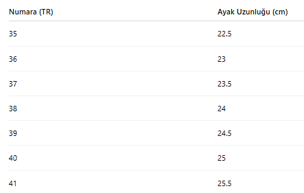 KADIN TARZ KIŞLIK BOT 244