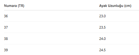 KADIN TARZ KIŞLIK BOT 280