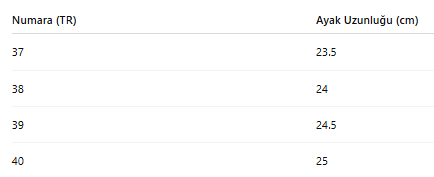 KADIN TARZ KIŞLIK BOT 250