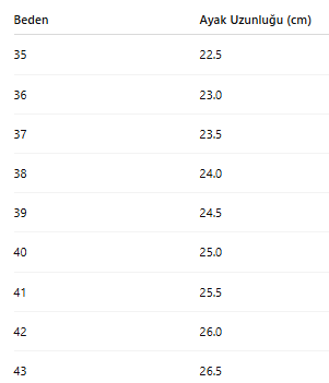 KADIN TARZ TOPUKLU AYAKKABI 169